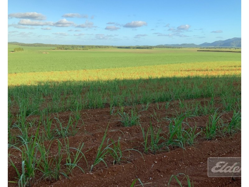 Lot 1 Formosa Road, Silkwood QLD 4856