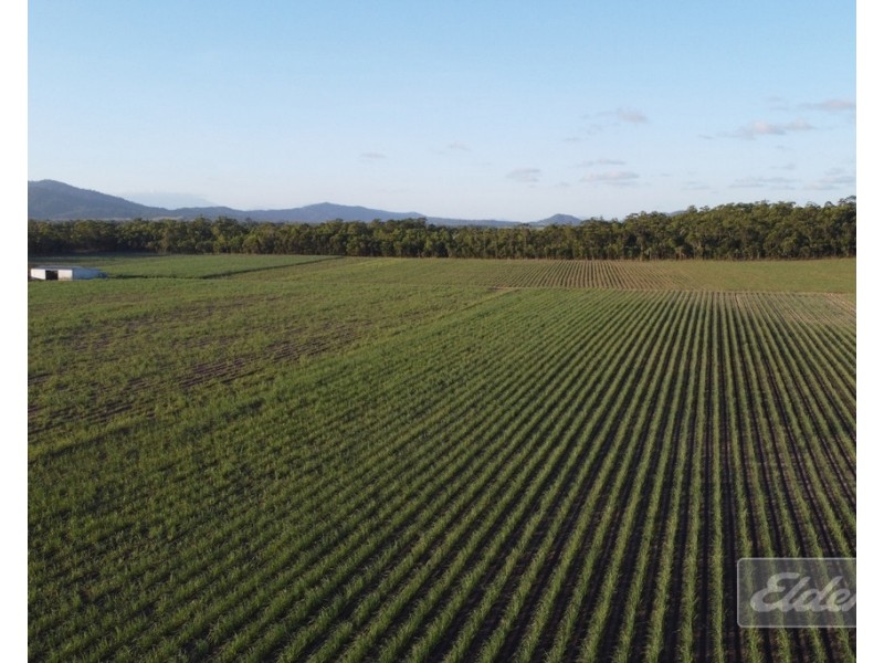 Lot 1 Formosa Road, Silkwood QLD 4856