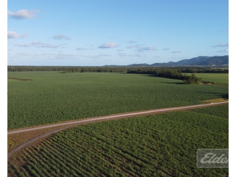 Lot 1 Formosa Road, Silkwood QLD 4856