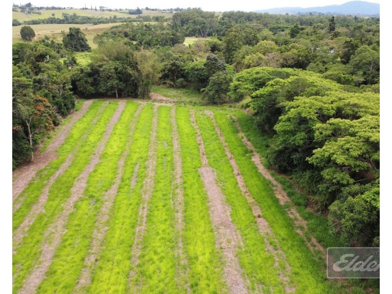 464 MENA CREEK ROAD, Mena Creek QLD 4871