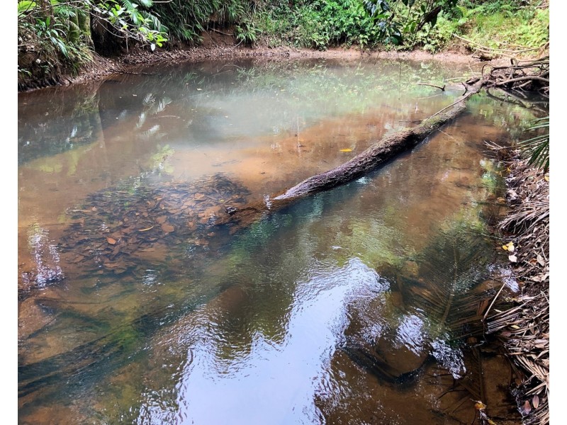 464 MENA CREEK ROAD, Mena Creek QLD 4871