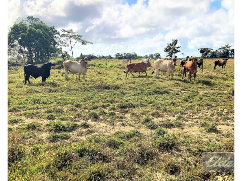 Lot 1 McCutcheon Road, Mccutcheon QLD 4856