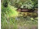 11 COOLIBAH STREET, Wongaling Beach QLD 4852