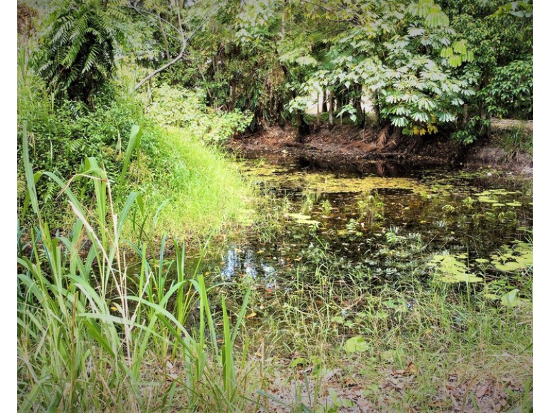 11 COOLIBAH STREET, Wongaling Beach QLD 4852