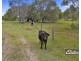 31 Wynne Road, Tiaro QLD 4650