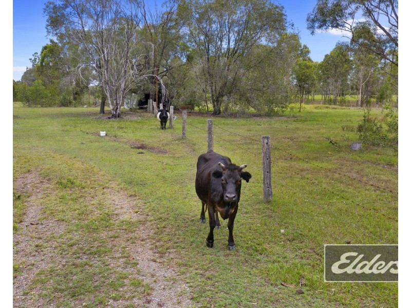 31 Wynne Road, Tiaro QLD 4650