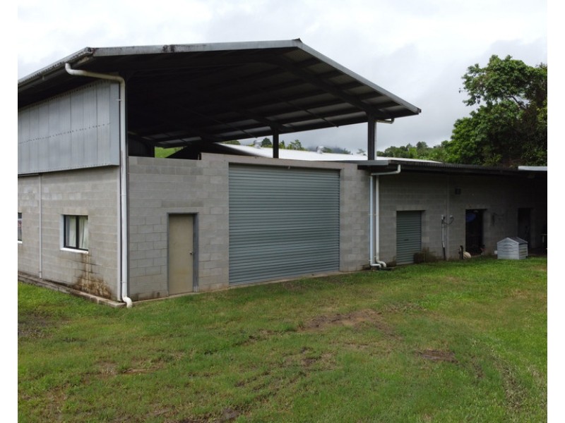 596 Mena Creek Road, Mena Creek QLD 4871