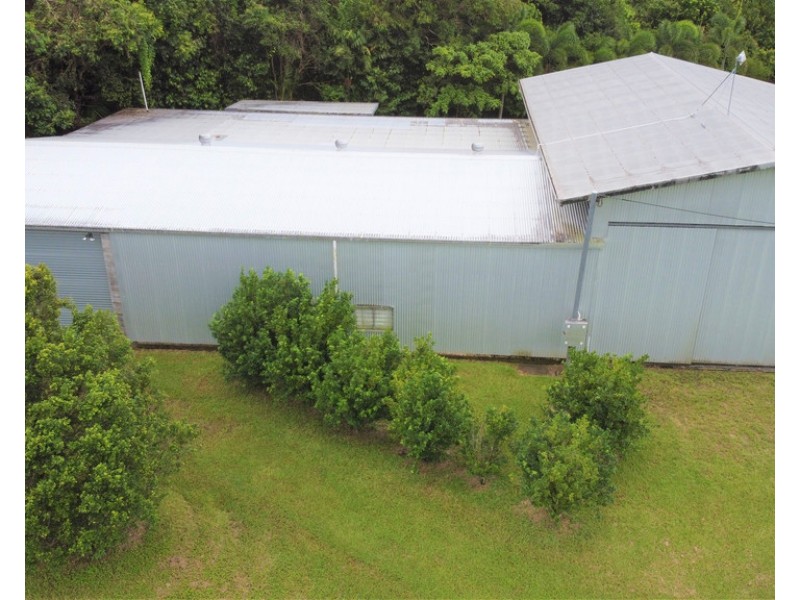 596 Mena Creek Road, Mena Creek QLD 4871