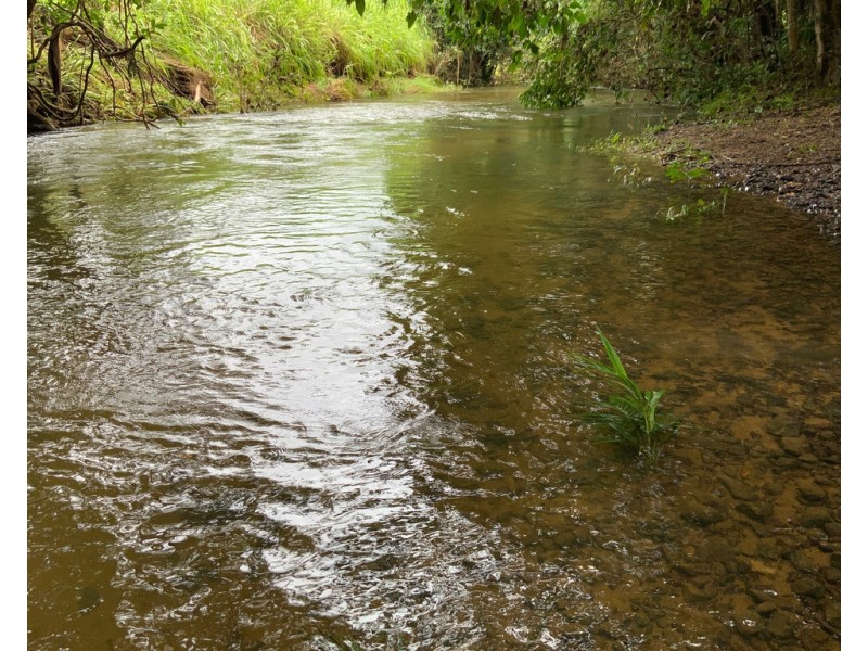 596 Mena Creek Road, Mena Creek QLD 4871