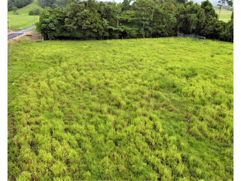 596 Mena Creek Road, Mena Creek QLD 4871