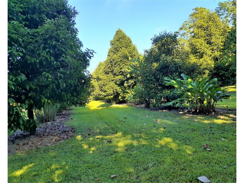 596 Mena Creek Road, Mena Creek QLD 4871