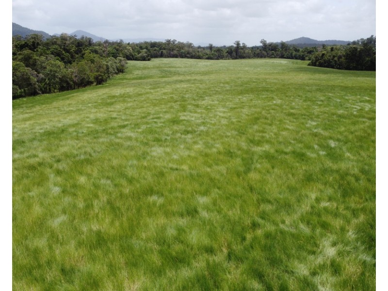 Tully QLD 4854
