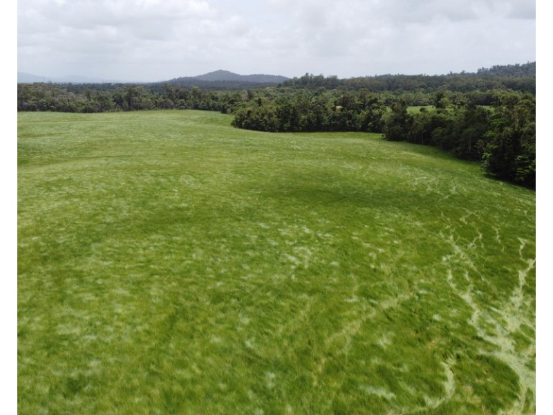 Tully QLD 4854