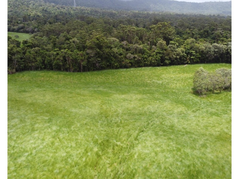 Tully QLD 4854