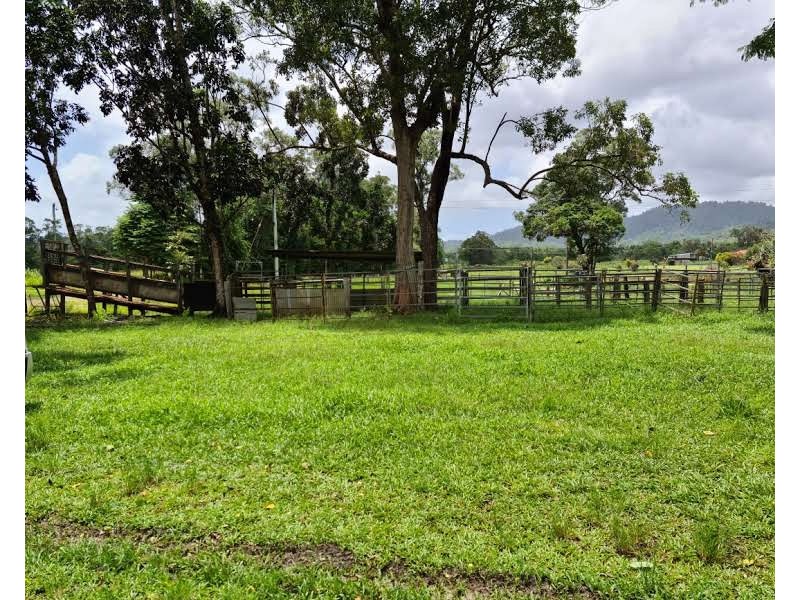 Tully QLD 4854