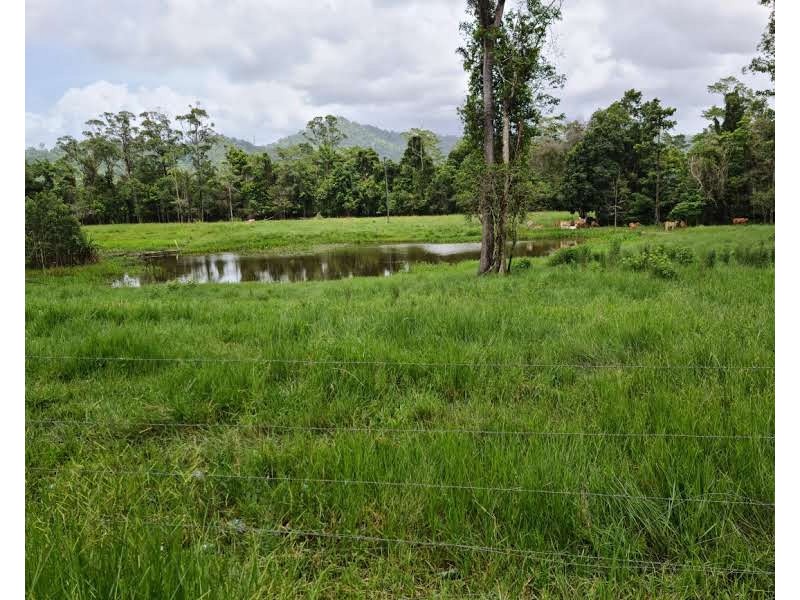 Tully QLD 4854