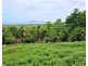 42 MISSION CIRCLE, Wongaling Beach QLD 4852