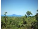 42 MISSION CIRCLE, Wongaling Beach QLD 4852