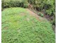 42 MISSION CIRCLE, Wongaling Beach QLD 4852