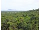 42 MISSION CIRCLE, Wongaling Beach QLD 4852