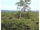 42 MISSION CIRCLE, Wongaling Beach QLD 4852