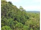 42 MISSION CIRCLE, Wongaling Beach QLD 4852