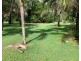 11 PARADISE PALM DRIVE, Tully Heads QLD 4854