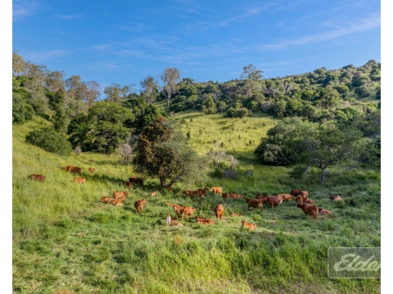 187 LITTLE ROAD, Glastonbury QLD 4570