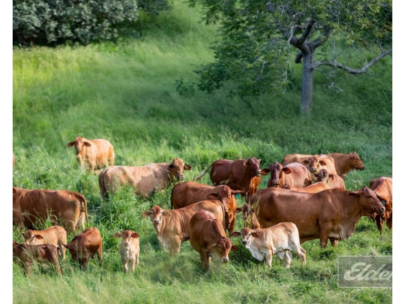 187 LITTLE ROAD, Glastonbury QLD 4570