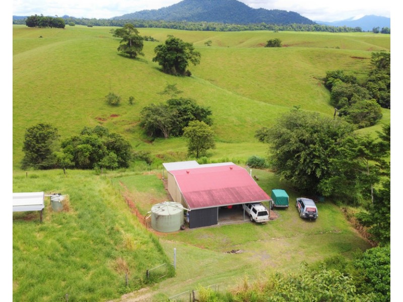 2522 PALMERSTON HIGHWAY, East Palmerston QLD 4860