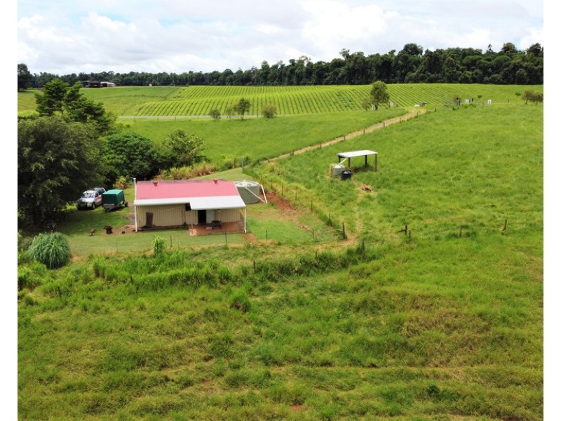 2522 PALMERSTON HIGHWAY, East Palmerston QLD 4860