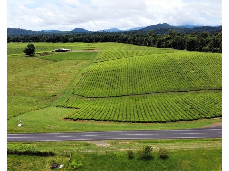 2522 PALMERSTON HIGHWAY, East Palmerston QLD 4860