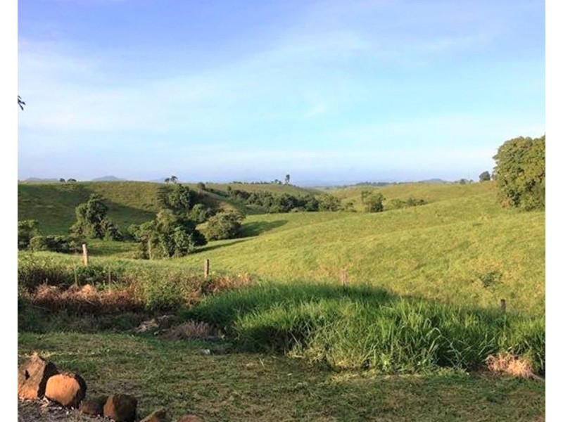 2522 PALMERSTON HIGHWAY, East Palmerston QLD 4860