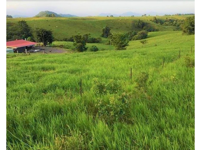 2522 PALMERSTON HIGHWAY, East Palmerston QLD 4860