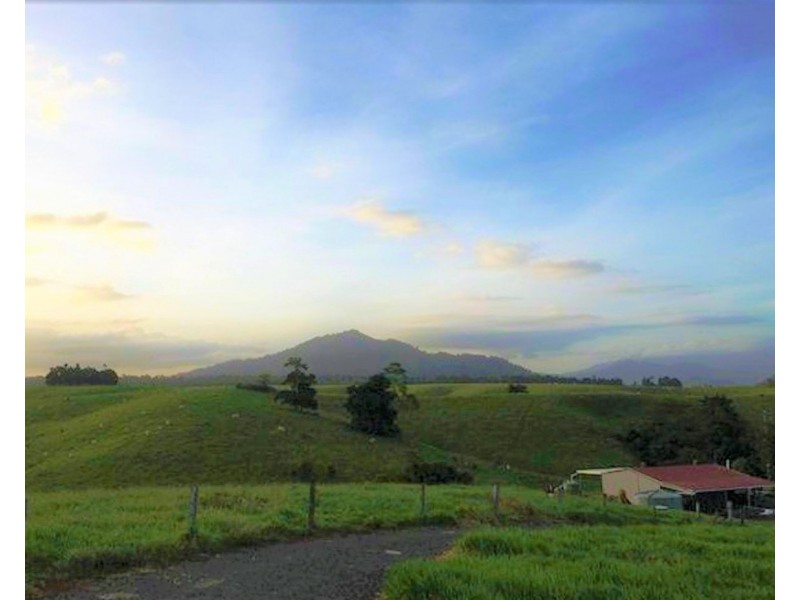 2522 PALMERSTON HIGHWAY, East Palmerston QLD 4860