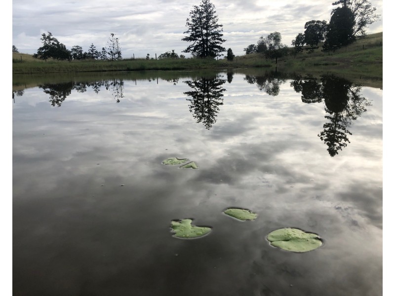 Lot 17 McIntosh Creek Rd, Mcintosh Creek QLD 4570