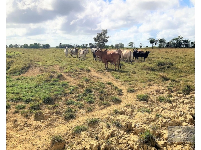 lot 1 McCutcheon Road, Mccutcheon QLD 4856