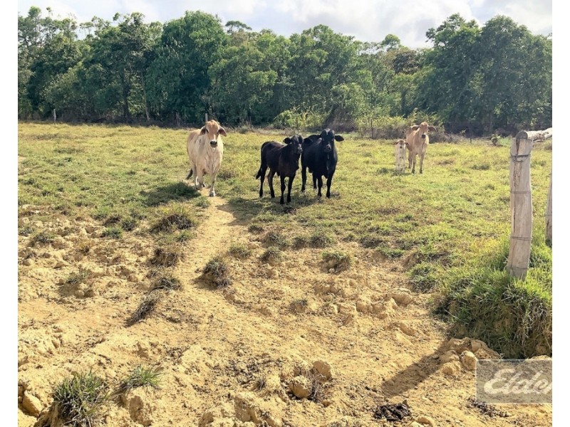 lot 1 McCutcheon Road, Mccutcheon QLD 4856