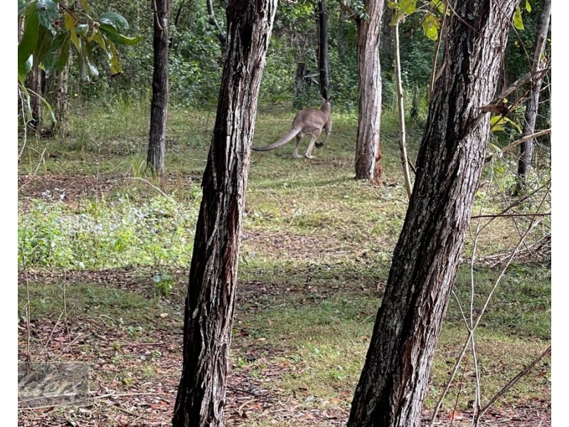 Chatsworth QLD 4570