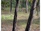Chatsworth QLD 4570