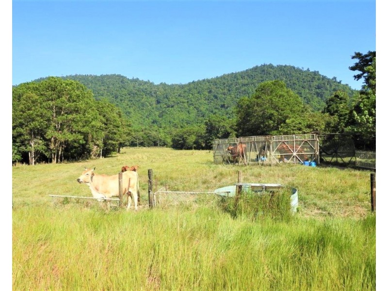 183 JACKSON ROAD, Shell Pocket QLD 4855