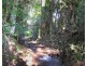183 JACKSON ROAD, Shell Pocket QLD 4855