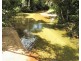 183 JACKSON ROAD, Shell Pocket QLD 4855