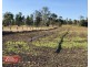 176 PIKE ROAD, Woolooga QLD 4570