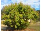 Glen Echo QLD 4570