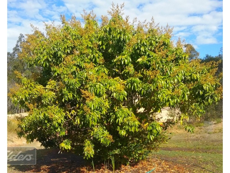 Glen Echo QLD 4570
