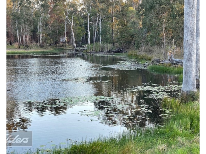 199 EEL CREEK ROAD, Southside QLD 4570