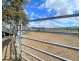 338 ABEL ROAD, Lower Wonga QLD 4570