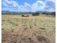 338 ABEL ROAD, Lower Wonga QLD 4570
