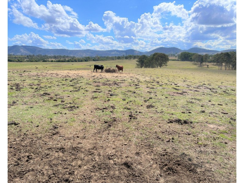 338 ABEL ROAD, Lower Wonga QLD 4570